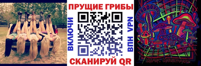 Купить  Саранск  Галлюциногенные грибы Psilocybine cubensis 